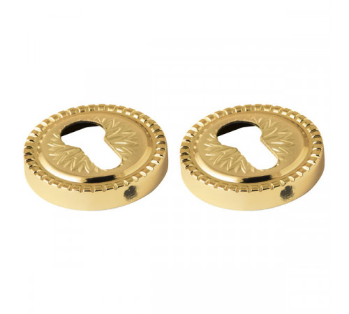 Накладка CYLINDER Armadillo (Армадилло) ET/CL-GOLD-24 Золото 24К 2 шт.