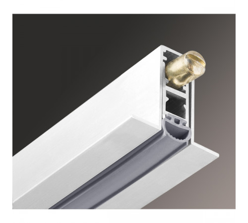 Автоматический порог Armadillo (Армадилло) EASY CON ALETTE ASAL B4/1430